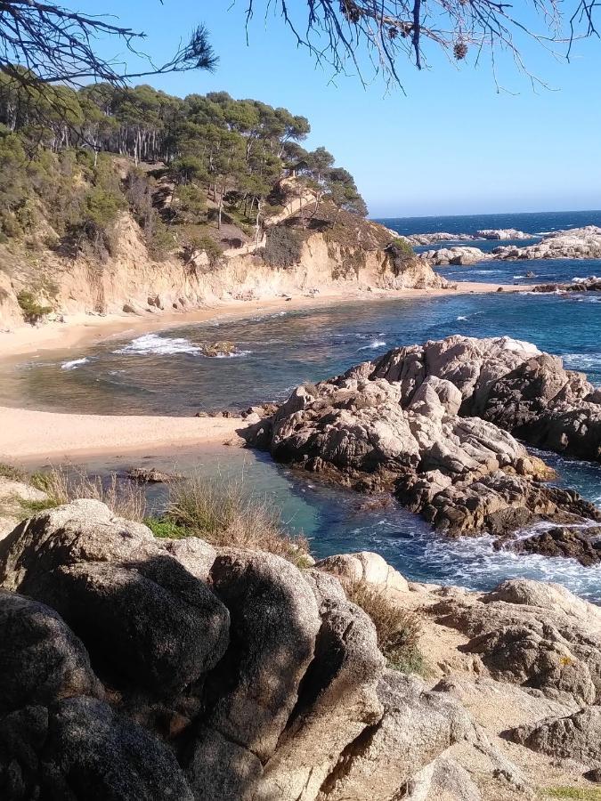 Hotel Mas Del Sol Vall-Llobrega Eksteriør billede